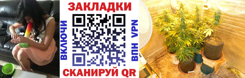 Купить наркотики Донецк АМФ Cocaine ГАШ Альфа ПВП МЕФ Галлюциногенные грибы Канабис
