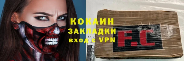 твердый Лиски