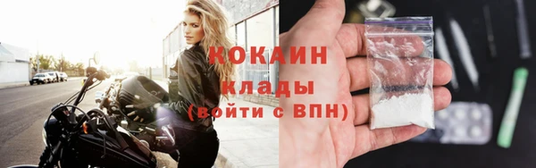твердый Лиски