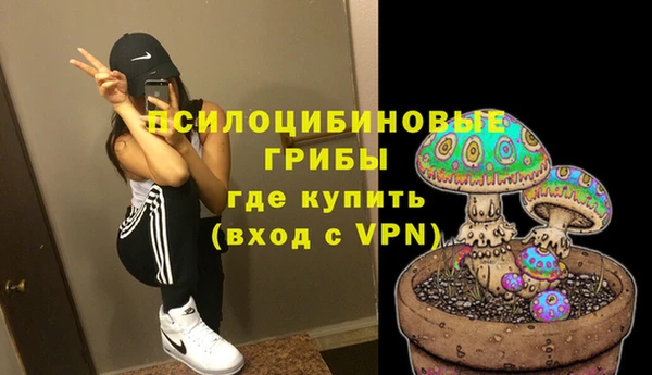 твердый Лиски