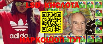стафф Гай