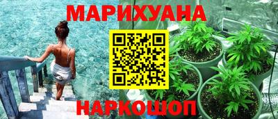 стафф Гай