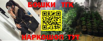 стафф Гай