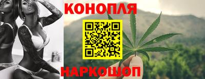 стафф Гай