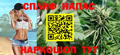 стафф Гай