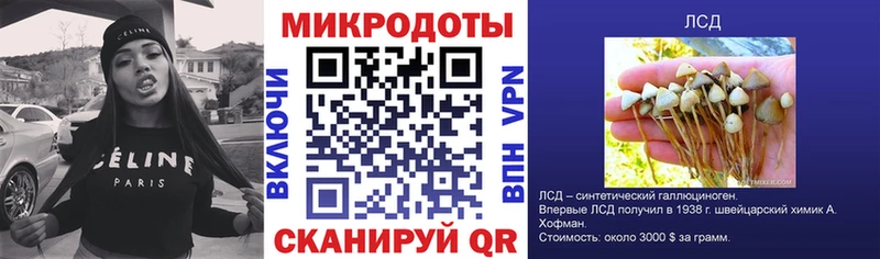 наркота  Донецк  Псилоцибиновые грибы мухоморы 