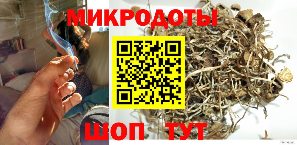 Донецк  Галлюциногенные грибы Psilocybine cubensis  Вход с VPN 