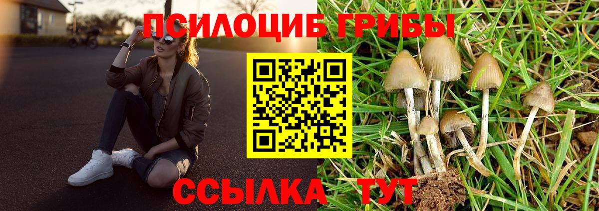 Галлюциногенные грибы Psilocybe  Донецк 