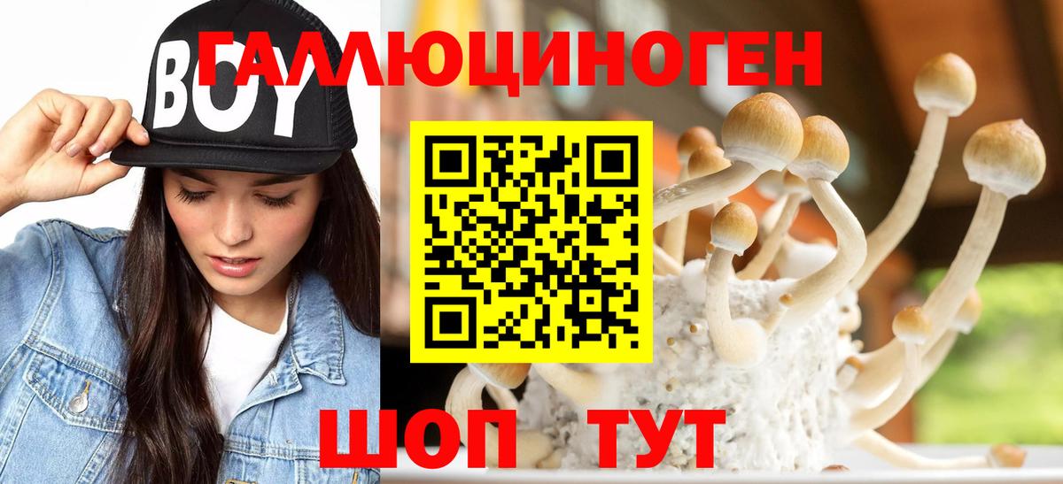 Псилоцибиновые грибы MAGIC MUSHROOMS Донецк