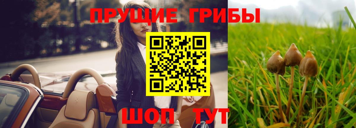 Галлюциногенные грибы Cubensis Донецк